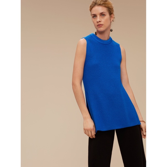 Aritzia Sweaters - Wilfred PALMIER Sweater Tunic in Royal Blue from Aritzia